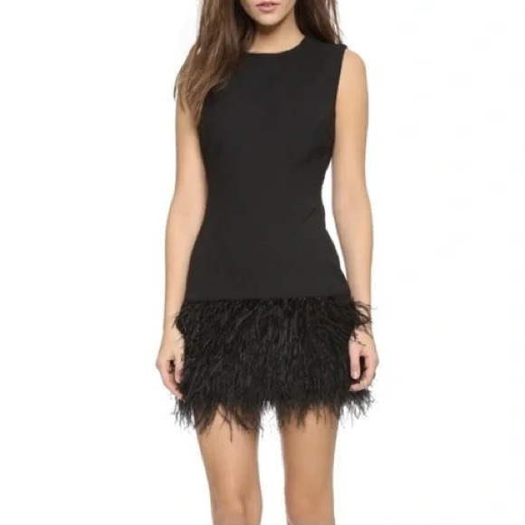 Elizabeth and James Dresses & Skirts - Elizabeth and James Black Mini Dress with Ostrich Feather Hem